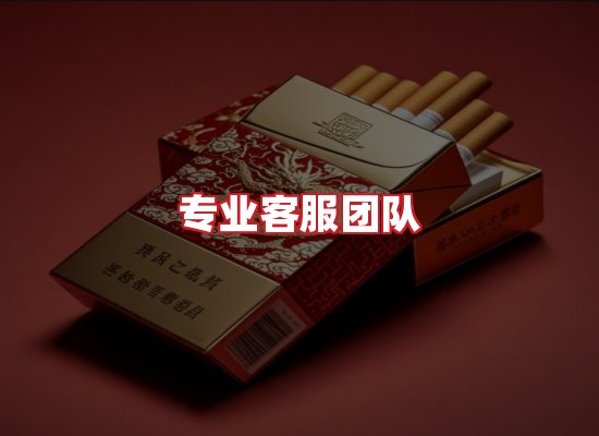 专业团队