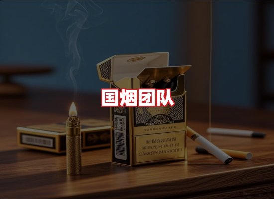 国烟团队